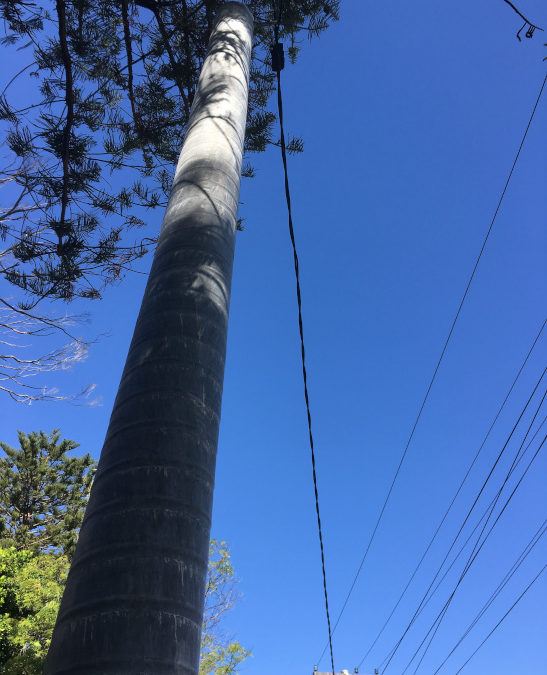 NEW TITAN PRIVATE POLE – NARRABEEN